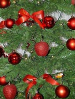 С Новым Годом!!! С Новым Годом!!!